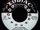RUBY ANDREWS Wonderful Nite & You Can Run  Rare Funk Soul 45 ZODIAC #1007
