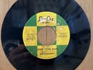 THE CAMARO’S Lover Come Back / We’re Not Too Young   Northern Soul 45 on DAR CHA