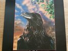 The Stranglers LP The Raven UK United Artists 1st Press 3D INCREDIBLE VINYL PUNK