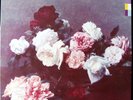 LP NEW ORDER  - Power, Corruption & Lies -