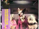 Rick Springfield - Success Hasn't Spoiled Me - VINYL JAPAN OBI Insert - RPL-8127
