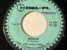 Surf Rocker - The Lively Ones - Miserlou - Del Fi 45 - rare Canadian pressing