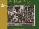 The Waterboys Fisherman's Blues (VINYL LP) Yellow NAD 2024 [NEW] PRESALE 19/10