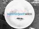 Wilco Summerteeth (180 Gram Vinyl, Colored Vinyl, Blue, Brick & Mortar Exclusive