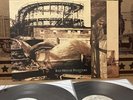 Red House Painters Rollercoaster Vinyl Record Album 4ad Sun Kil Moon Original