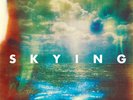 The Horrors Skying Records & LPs New