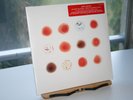PETER GABRIEL Scratch My Back And I'll Scratch Yours Sealed 2 LP, Mint Condition