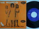 HONEYS Surfin Down The Swanee River SWEDEN DENMARK 45 Brian Wilson BEACH BOYS