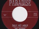 INTERNS Sally Met Molly / Have Mercy RARE M- Texas garage 45 frat scorch LISTEN