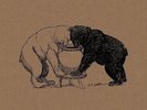 TIM REAPER/KLOKE IN FULL EFFECT NEW LP