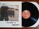 Pinback LP EXCELLENT Summer In Abaddon TOUCH AND GO 2004 Booklet TG237