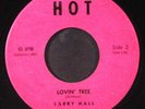 LARRY HALL: sandy HOT 7