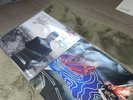 two Panic  At The Disco vinyl records - too weird to live, too rare to die & DOB