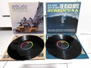 The Beach Boys - Surfin Safari and Surfin USA Vinyl LP Bundle 1960s Capitol Mono