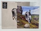 English Teacher – This Could Be Texas White vinyl signed insert New