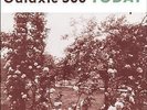 Galaxie 500 Today LP vinyl USA 20/20/20 2009 repress, remastered by Kramer