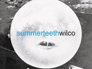 Wilco Summerteeth (180 Gram Vinyl, Colored Vinyl, Blue, Brick & Mortar Exclusive