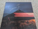 DOMINIC FIKE SIGNED 'WHAT COULD POSSIBLY GO WRONG' ALBUM VINYL RECORD LP