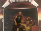 METALLICA-THE FINAL NIGHT-2 LP-NUMBERD COLORED VINYL.
