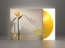 New Musik-From A to B  (Yellow Vinyl Album, 2022) Limited Numbered Edition New