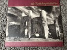 U2 The Unforgettable Fire Limited Edition Wine Vinyl 35Th Anniversary Edition
