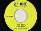 Funk R&B 45 - Dale Harrison - I Feel Good - Zip Code - obscure
