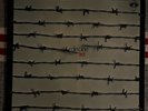 Dies Irae First Schallplatte Vinyl Krautrock rar