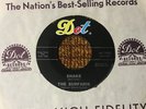 45 RPM Surfaris DOT 17008 Shake / Search GARAGE M-
