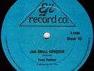 Tony Palmer  - Jah Shall Conquer (12