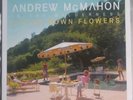 Andrew McMahon 2018, Upside Down Flowers, NM Cond Clear-Blue Vinyl-LP