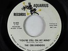 Northern Soul 45 - Cre-Shendos - You're Still On My Mind - Aquarius VG++
