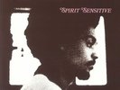 FREEMAN, Chico - Spirit Sensitive (reissue) - Vinyl (LP)