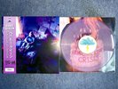 Baby Queen – Quarter Life Crisis (Purple Vinyl LP + Assai Numbered & Signed OBI)