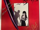 Divinyls- Temperamental vinyl red LP album limited ed. autographed 1988