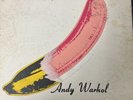 The VELVET UNDERGROUND and NICO LP Andy Warhol V-5008