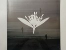 Copeland | Ixora Twin | BRAND NEW & SEALED | White Color Vinyl Record 1 LP