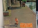 LP  SOLUTION - Solution    Dutch Catfish