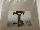 Shellac Dude Incredible LP new