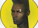 GRACE  JONES / LIVING MY LIFE / VINYL PICTURE DISC