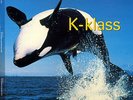 K-Klass - Let Me Show You (12