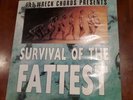 Survival of the Fattest Lp Record STRUNG OUT NOFX LAGWAGON NO USE FOR A NAME
