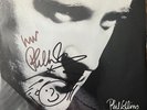 Phil Collins Signed W/Mini-Doodle “Another Day in Paradise” 45 Picture Sleeve