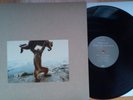 SHELLAC DUDE INCREDIBLE LP/CD steve albini big black brick layer cake touch & go