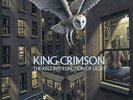 King Crimson - ReconstruKction of Light (200 Gram Vinyl, 2 LP) [Import] - ROCK *