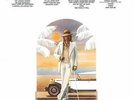 STEWART, ROD / THE BEST OF ROD STEWART (1LP)