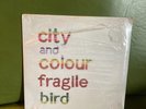 CITY AND COLOUR - Fragile Bird 7