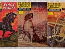 CLASSICS ILLUSTRATED • GOLDEN RECORDS Black Beauty Call Of Wild Time Machine 3LP
