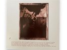Rare Pixies Surfer Rosa Mobile Fidelity Mofi Vinyl Record numbered 180g LP