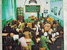 OASIS THE MASTERPLAN 7 x 10