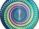Coldplay - Moon Music (New Zoetrope Picture Disc Vinyl Blood Records)
